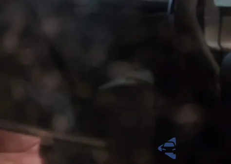 2014 Tesla Model S P85 из США, поврежденный, VIN 5YJSA1H12EFP50372